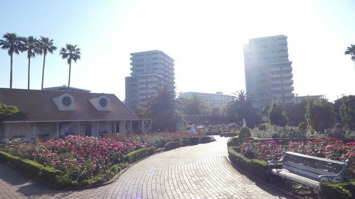 ついに都心も真夏日！気象予報士が季節の変わり目にすることは？