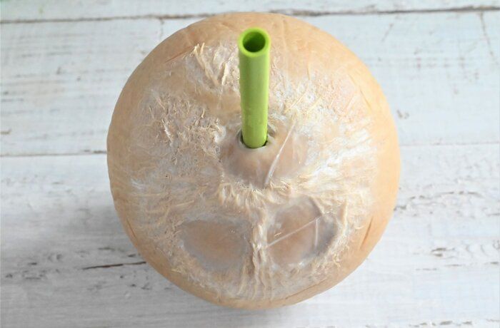 【カルディ】自宅で南国気分♪見た目がかわいい！身体も喜ぶ！ココナッツウォーター