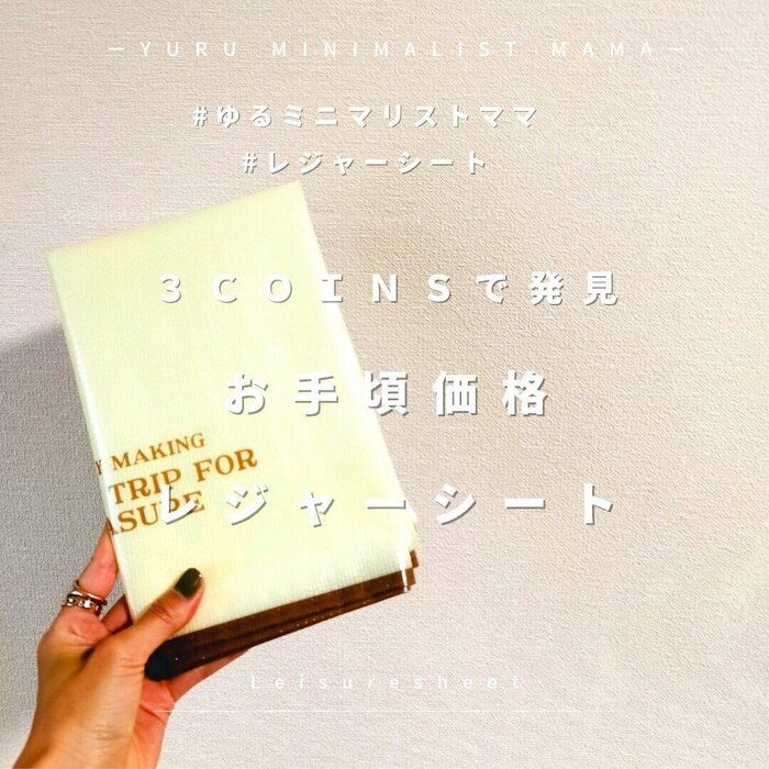 ３ＣＯＩＮＳで発見！お手頃価格のレジャーシート