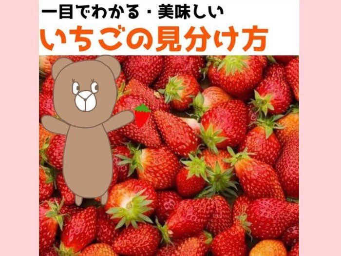 野菜のプロが教える、一目でわかる美味しい苺の見分け方