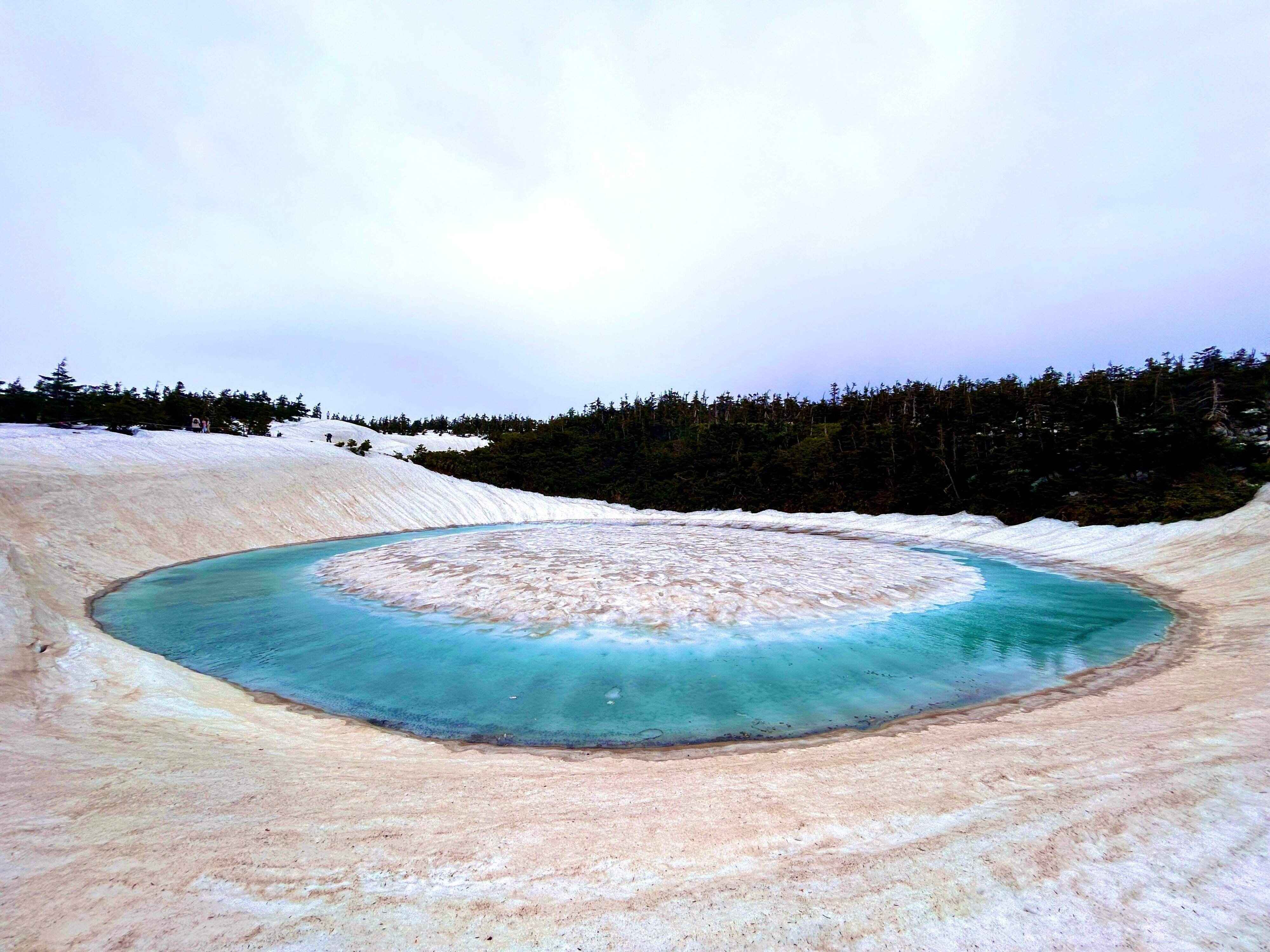 今が見頃！一年で今しか見れない自然の神秘。辰年に「ドラゴンアイ」を見に行こう！