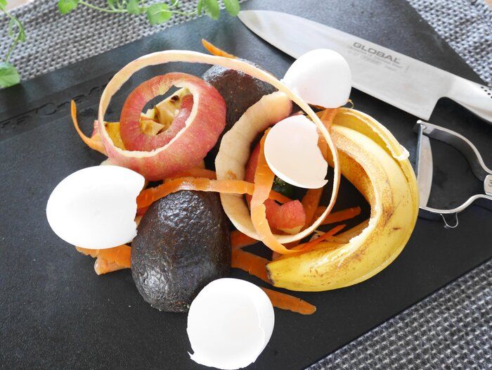 生ごみのニオイ問題を完全解決！最強の『生ごみ処理方法』