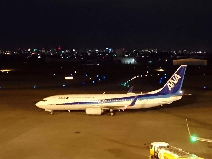 【飛行機】経験者が語る！突然の欠航の知らせにも慌てずに乗り越えられた3つの対応策