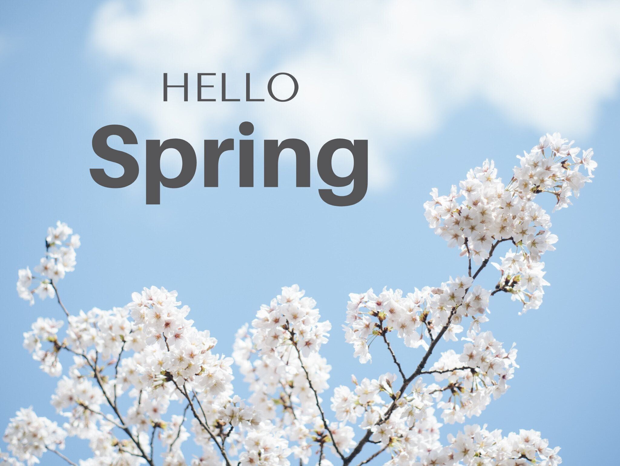 新生活を軽やかに始めるために！今やっておきたいこと3選