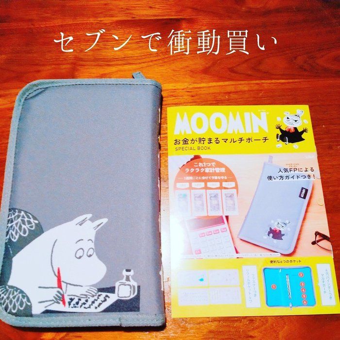 年間100万の貯蓄達成のワケは見える化