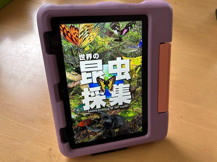 【虫嫌いのママも】夏休みのやることに困ったら！自宅でリアルな虫取り体験！