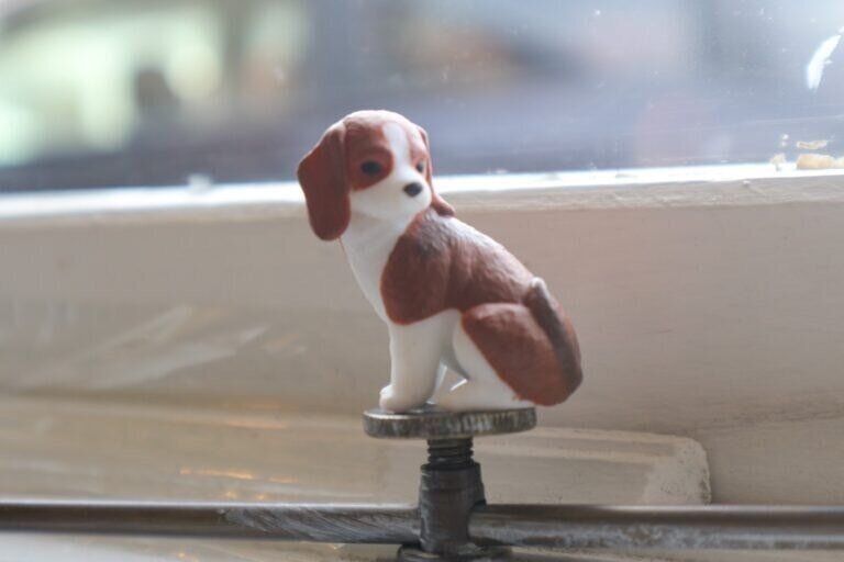 【自己紹介】心トキメク情報を発信！yumekaです