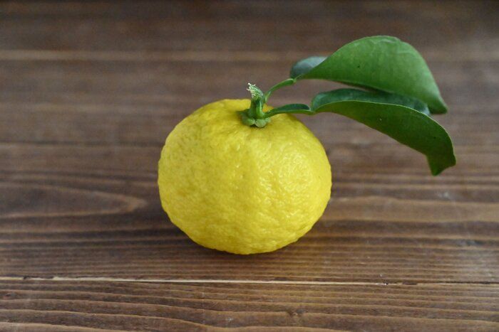 【旬食材】ゆずが微妙に余る......そんなときの救世主♪ゆずを使う主食＆副菜レシピ3選