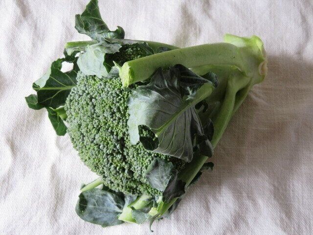 ブロッコリーを主役に！残さず食べきる和え物レシピ3