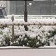 寒波を通して、雪のある暮らしや【田舎暮らし】について思ったこと