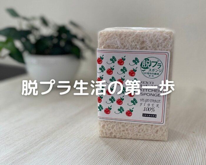 【エコな暮らし】キッチンから始めるエシカルな暮らしの第一歩