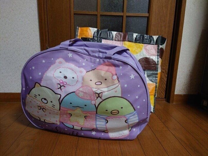 【捨て活】3月の物の整理日記