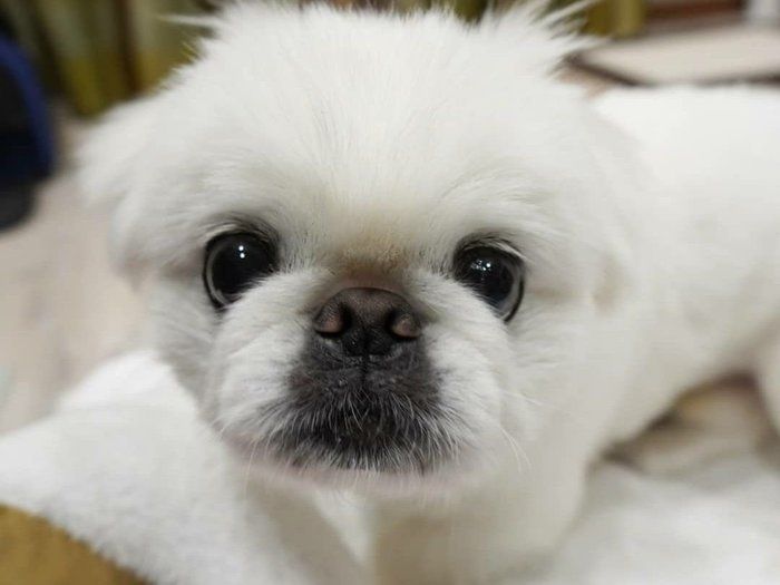 【自己紹介】プチプラビューティーマニアyuchikuwaです！