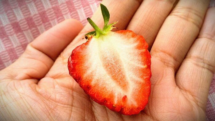 いちごの赤い部分は果実じゃない⁉じつは、甘くてやわらかい部分は〇〇だった！