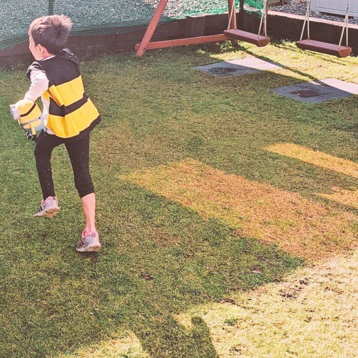 障害を持つ子のきょうだいの気持ちに耳を貸してください!!!