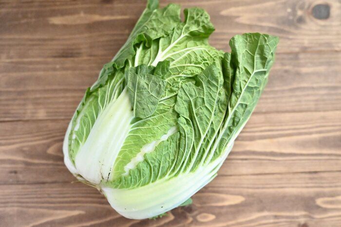 【旬食材】加熱調理だけじゃない！白菜を生でおいしくいただこう♪簡単レシピ3選