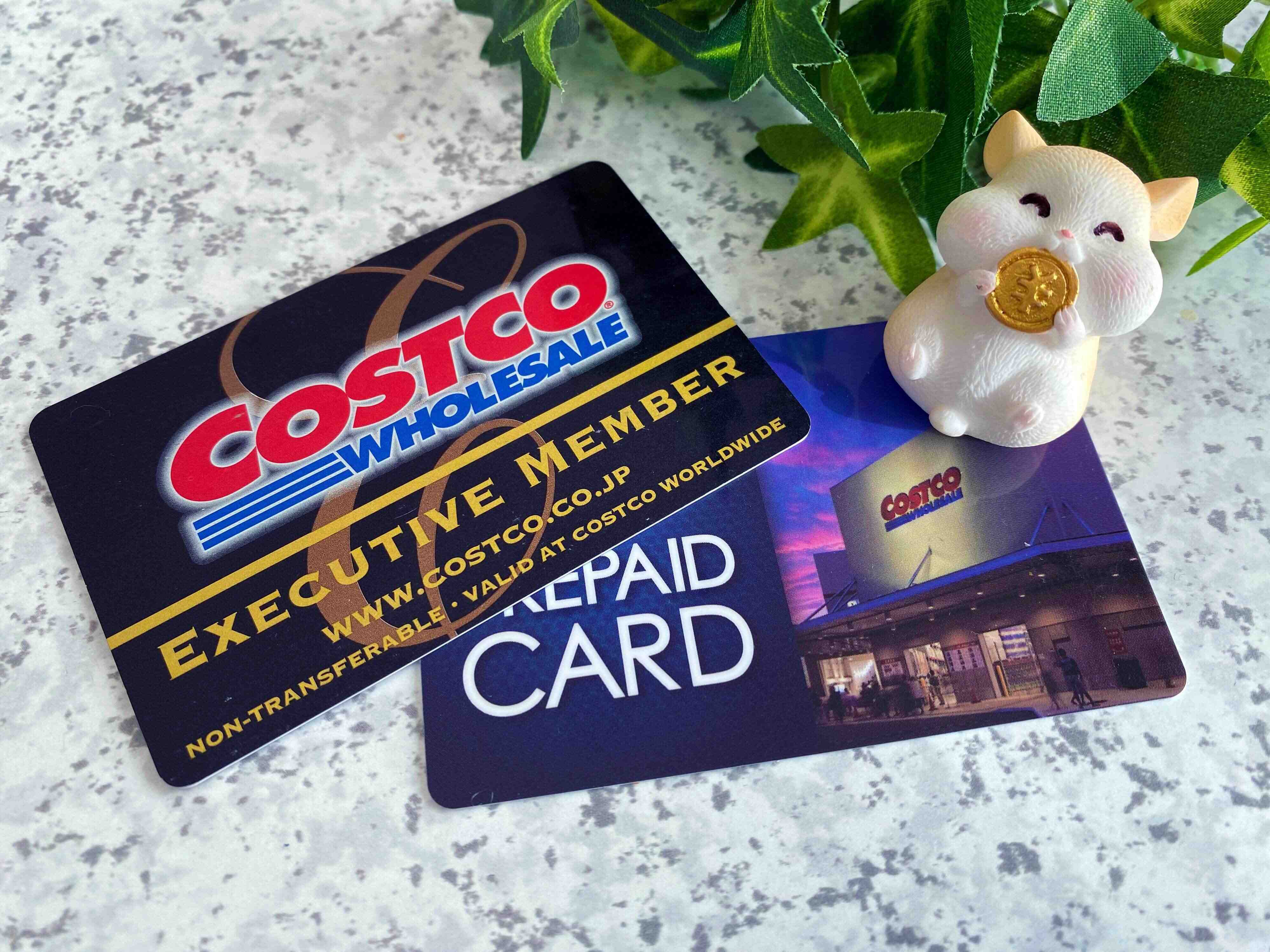 【コストコ】大型家電、買って大丈夫？ 注意点ありの購入レポ！