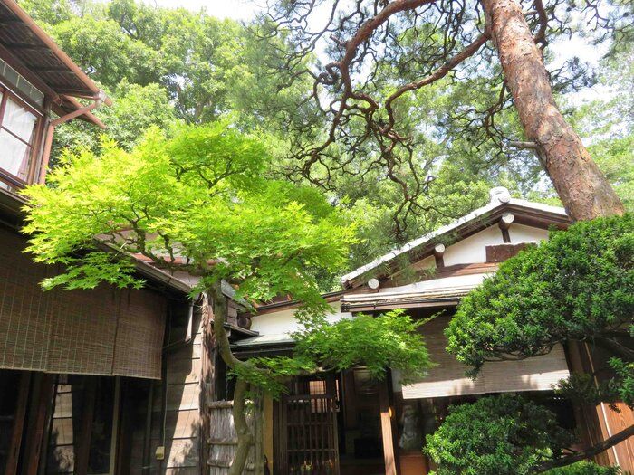 自由が丘駅から徒歩5分の古民家カフェは都会のオアシス