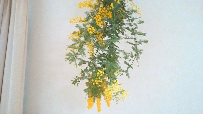 期間限定♪手作りの楽しみ