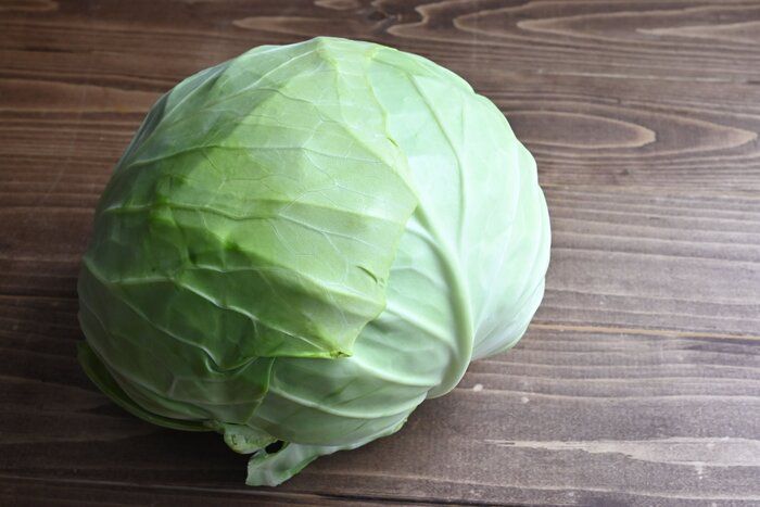 【旬食材】キャベツのおいしさを堪能しよう♪少ない材料で絶品！キャベツの副菜レシピ3選