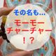 【成城石井】一度食べたら忘れられない⁈新感覚大人気スイーツ