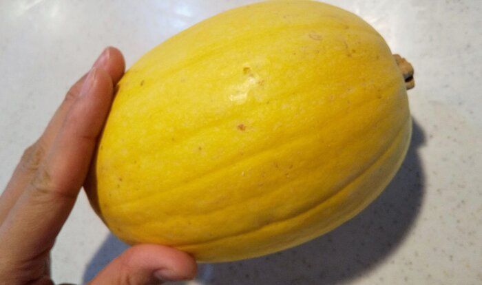 かぼちゃなのに「そうめん」みたい？【金糸瓜】という変わり野菜を食べてみた！