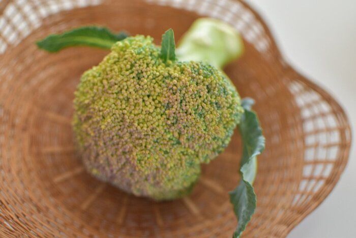 【献立の悩み解消】捨てないで！黄色くなったブロッコリーは〇〇にするのが正解！