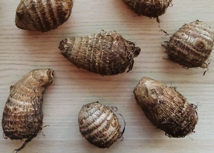 【旬食材】里芋は皮ごと料理するのが正解かも？野菜ソムリエが伝授