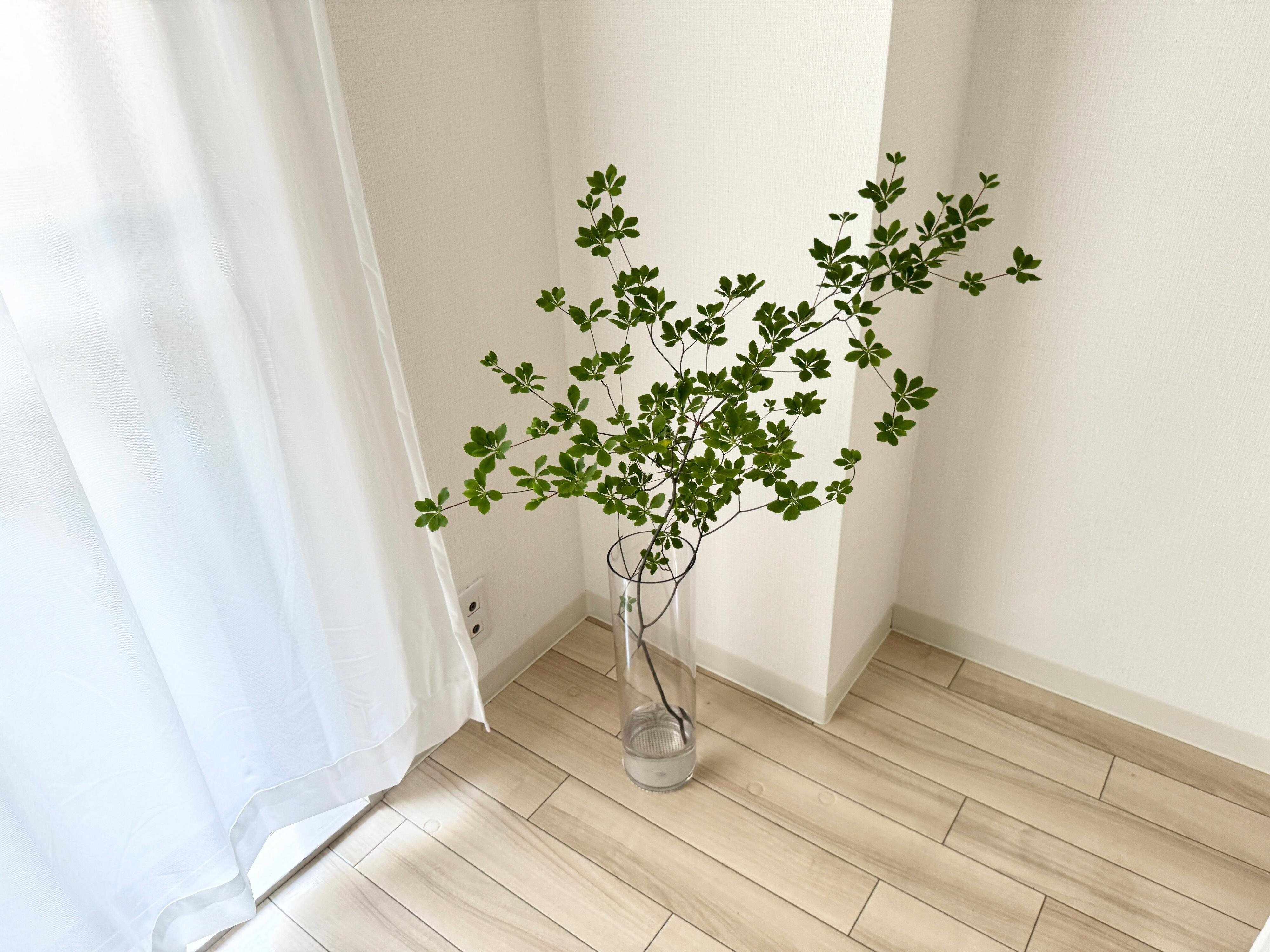 防災もインテリアも！割れない花瓶で叶える花のある暮らし