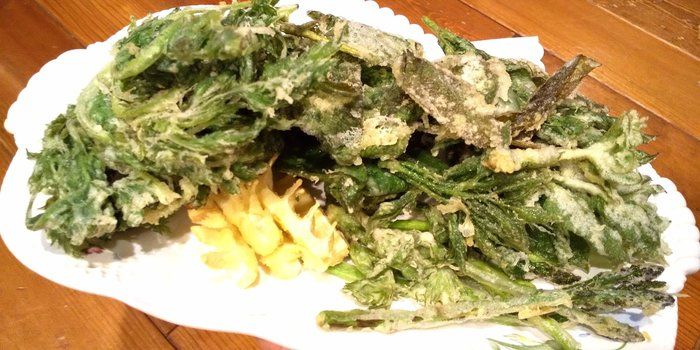 デトックス効果のある春の山菜！子供も喜ぶ人気レシピをご紹介