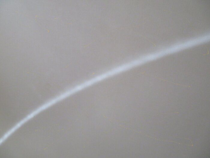 心に響く？インスタグラムで更新中「今日のdann語」傑作選5