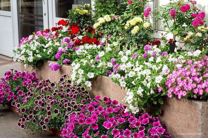 【日常】花を飾ろう２