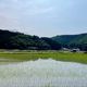 【田舎暮らし3年目】田舎でフリーランスってどうなの?あえて言うデメリット3選