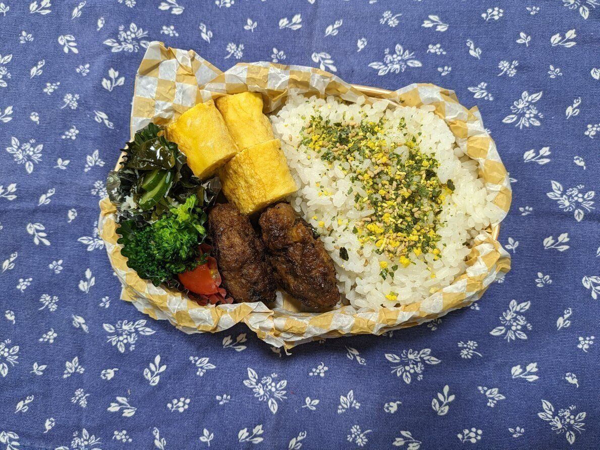 【お弁当】本日も節約弁当なり３