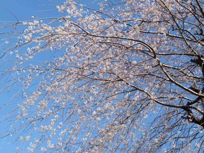 人づきあいが苦手！新生活ストレスでおかしくなる前にやること4