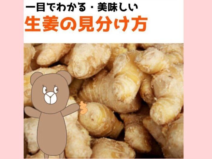 野菜のプロが教える、ひと目でわかる美味しい生姜の見分け方