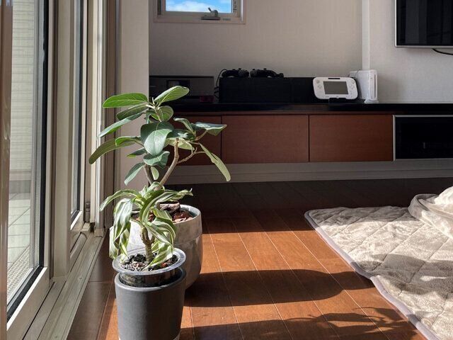 リビングをいつもキレイに保つために気を付けていること３つ