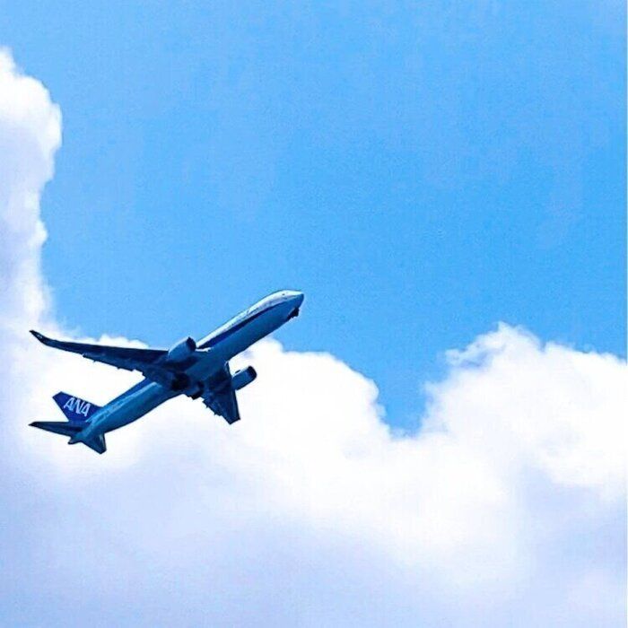 【夏休み】娘が人生初の一人空旅！利用した航空会社のサポートサービスは保護者を安心させる配慮が満載！！