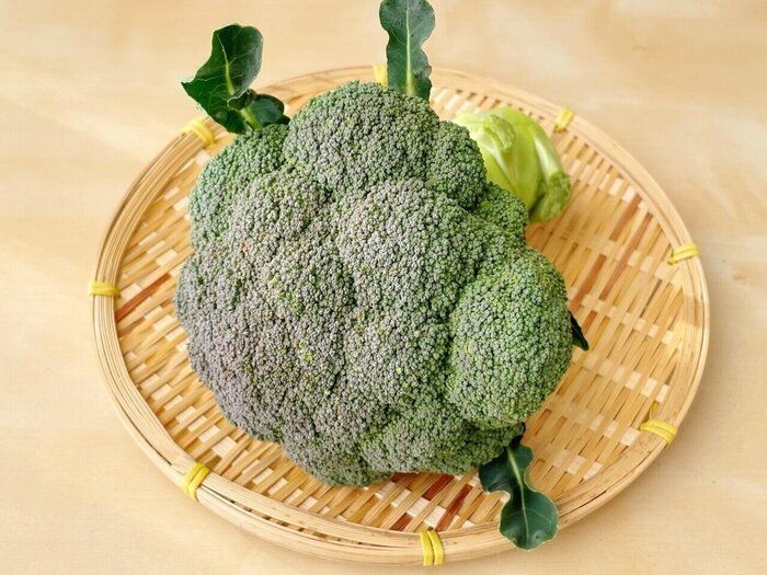 【野菜のプロの目利き】ブロッコリーは紫がかっているものを選ぶべし！