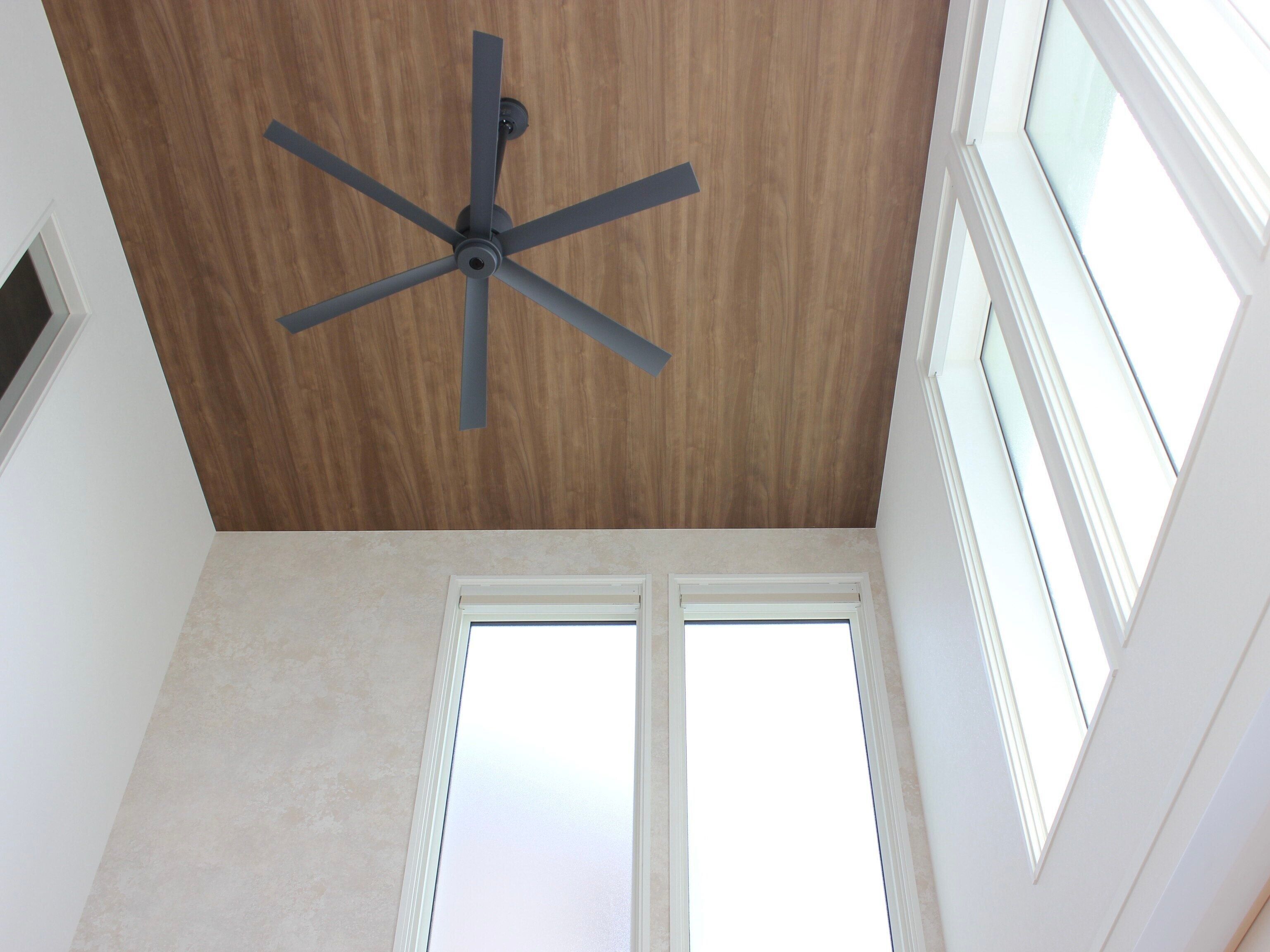 【自己紹介】汚部屋出身でもスッキリ暮らしたい！梨ちゃんです