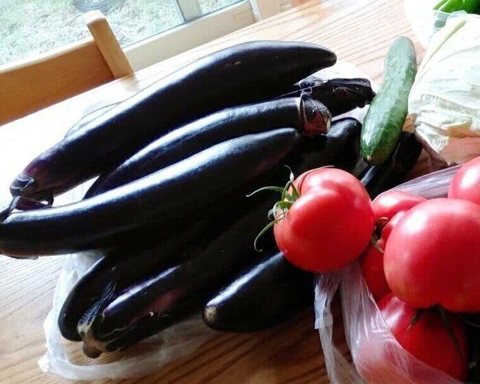 【節約ごはん】旬の食材『ナス』を使った簡単・美味しいおかず