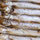 塩焼きだけじゃないよ♪魚不足には「ししゃも」がおすすめ!ししゃもの簡単アレンジレシピ3選