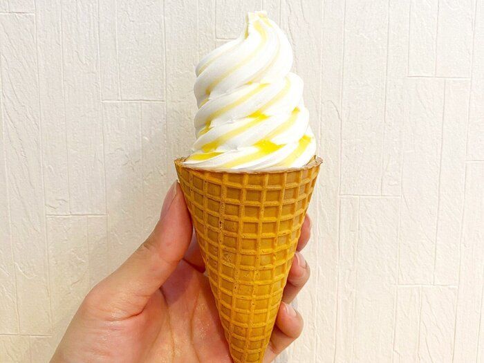 【ローソン】有名チーズタルト専門店とのコラボアイスは寒くても食べるべき！