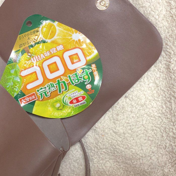 【整理収納】公開！起業ママのバッグの中身