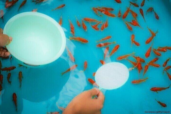 【小学1年生の夏休み】充実するためにやってよかったこと3選