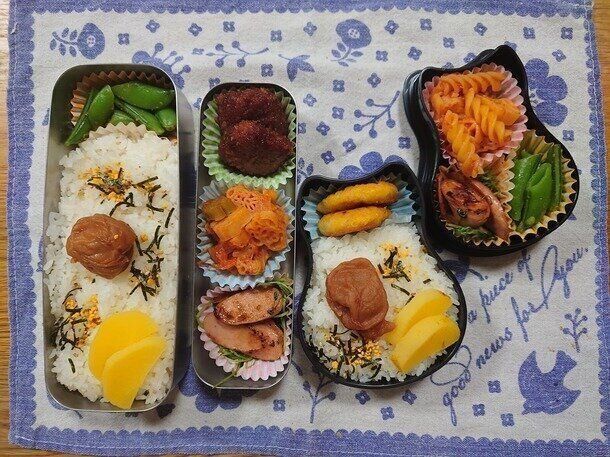 【日常】アラフィフ母の日常はこんな感じ