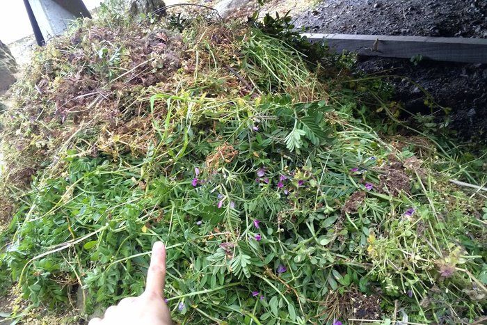 無心になって不安も軽減⁉久しぶりに○○をしてみて発見したこと