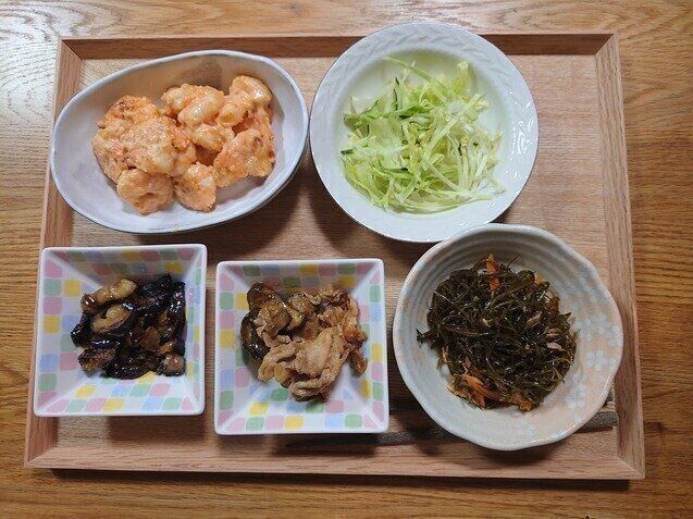 【食費】6人家族のリアルな食費事情（９日目・１０日目）お弁当がいらない日と好き嫌いを考える日