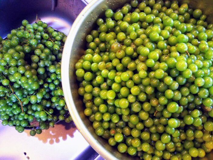 捨てちゃう○○○○の葉っぱも美味しく食べられる！もったいない食材活用3選