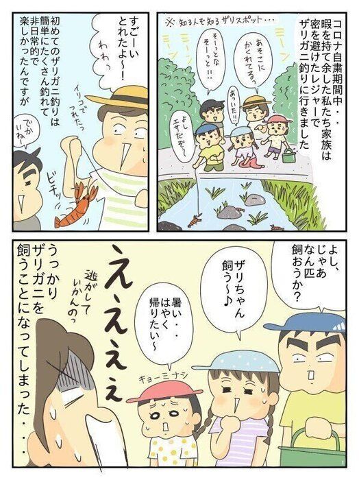 ザリガニのいる玄関をどうにかしたい